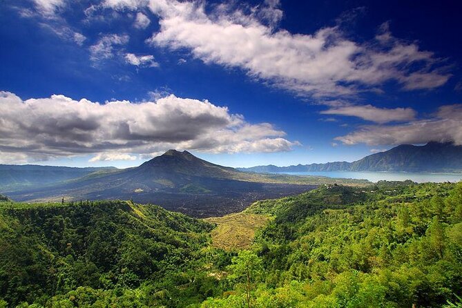 Paket Liburan Setengah Hari Ubud Kintamani